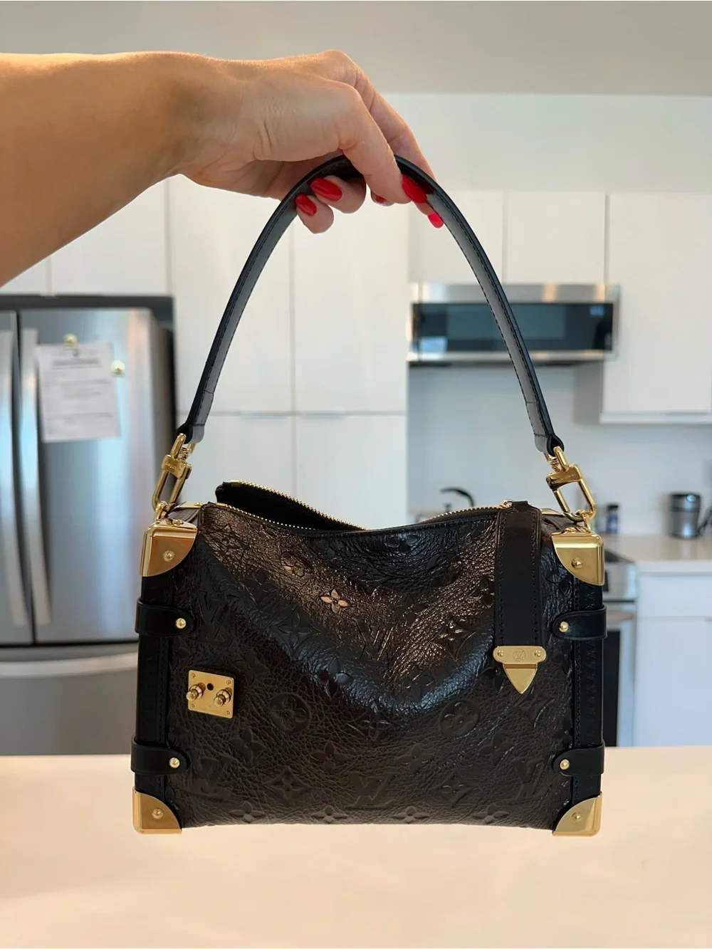 Louis Vuitton Side Trunk MM Acajou